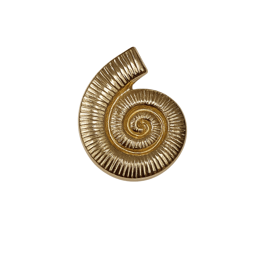 SEASHELL BROOCH