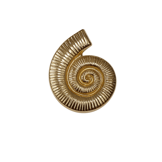 SEASHELL BROOCH